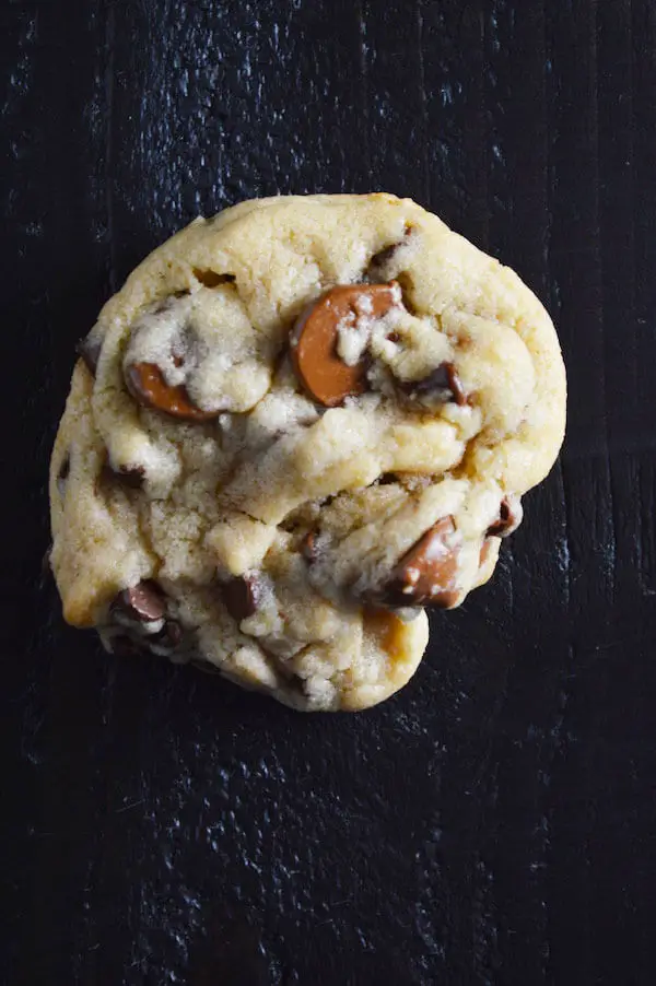 Double Chocolate Chip Cookies