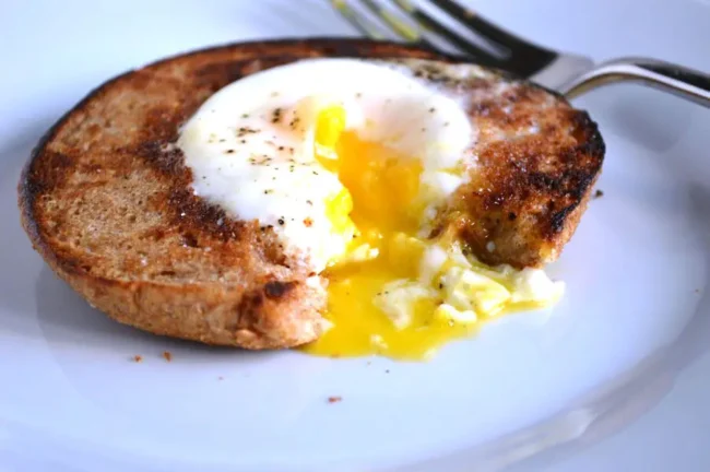 Eggs in a Nest